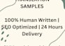 write SEO articles and do english to urdu translation
